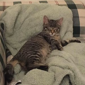 Meet your Posher, Abigail